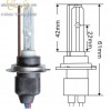 Motor xenon alkatrészek kategória