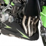Hasidom, Puig KAWASAKI Z900 (2017-) kép