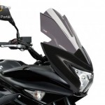 Verseny plexi,Puig Suzuki INAZUMA F (2015-2017) kép