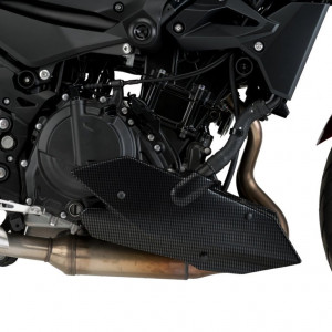 Hasidom Puig,KAWASAKI Z400 (2019-) kép