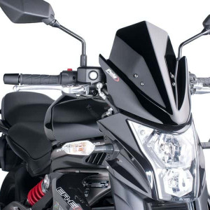 Naked New Generation plexi Kawasaki ER-6N 2012-2016 kép