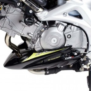 Hasidom, Puig Suzuki SFV650 GLADIUS 2009-től kép