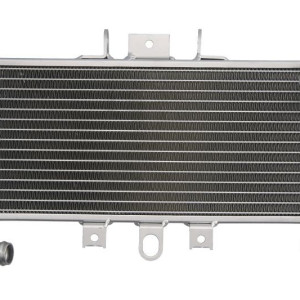 4RIDER Utángyártott Vízhűtő – YAMAHA FZS 600 1998-2004 kép