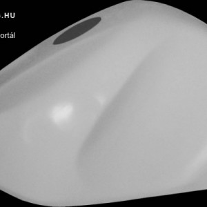Tank védő Suzuki GSX-R 600  01-03 - 750  00-03 kép
